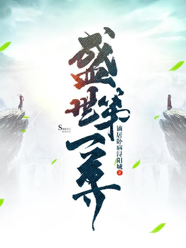 盛世一条多少钱