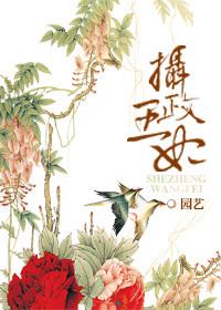 重生之摄政王妃逆袭归来佚名
