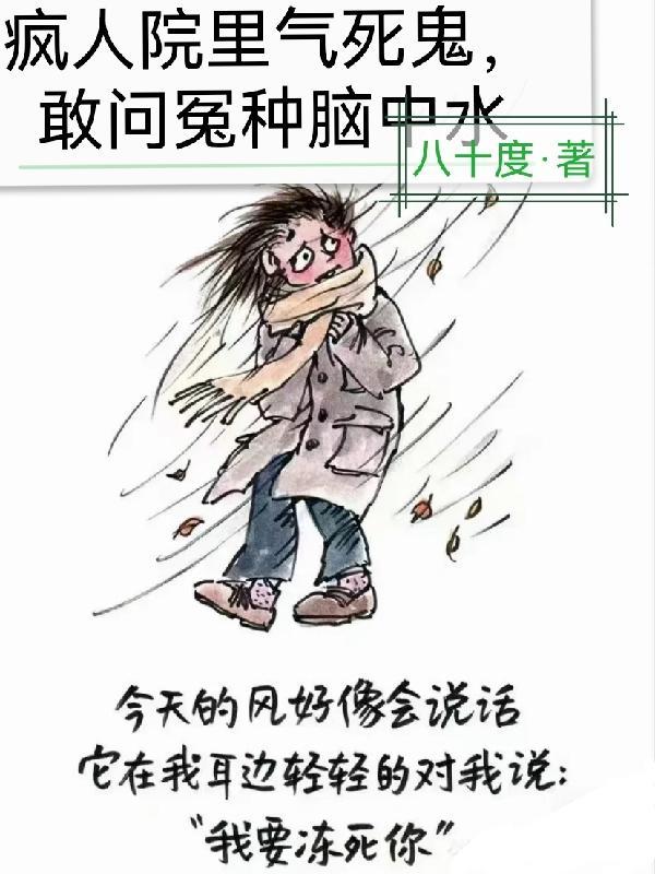 疯人院mv