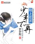 陌上花开白衣少年什么意思