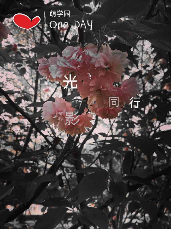 萌学园之时光之光