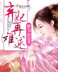 弃妃再难逑坏妃晚晚txt