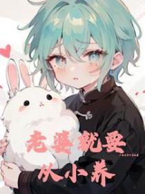 老婆就要从小养晋江
