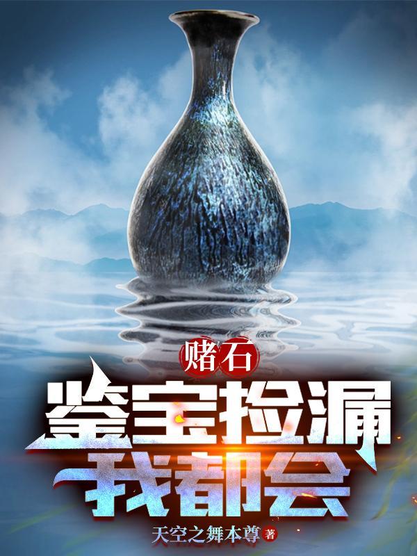 赌石鉴宝捡漏我都会免费阅读天空之舞