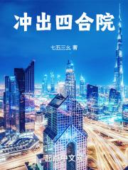 冲出四合院奇书网