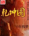 乾坤图四肖八码