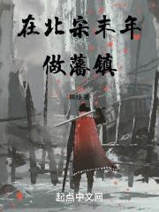 在北宋末年做藩镇的人