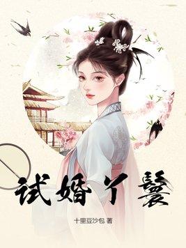 试婚丫鬟全文免费阅读
