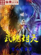 武魂天下免费阅读