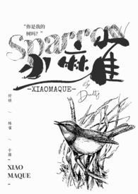 小麻雀全文阅读