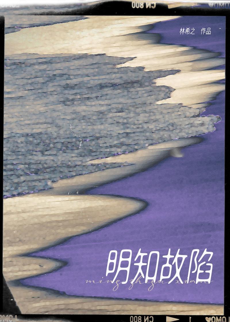 明知故犯的下一句是什么