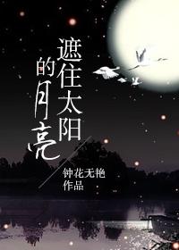月亮遮住了太阳的光