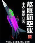 熬鹰航空业txt八零