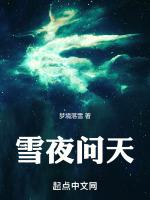 雪夜诗谈