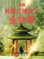 开局被秦红棉破了金钟罩免费完整版