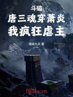 唐三穿越斗破苍穹的