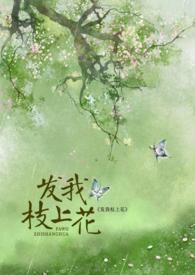 发我枝上花by漂浮折纸免费阅读最新章