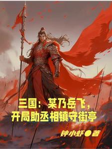 岳飞 穿越