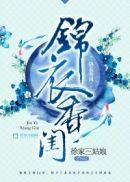 锦衣香闺圆房
