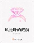 此生因你空欢喜免费阅读全文