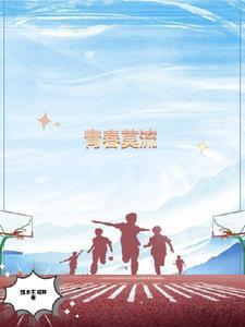 青春流水什么歌