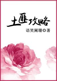 土匪攻略百度