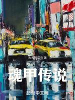魂武装甲