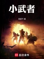 小武者二代折刀