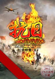 抗日特战队40集在线播放