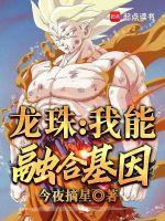 龙珠融合游戏