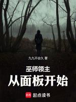巫师3领主牌
