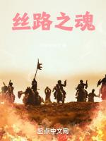 关于丝路之魂的宣传语