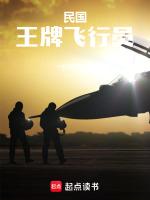 民国王牌飞行员笔趣阁在线阅读