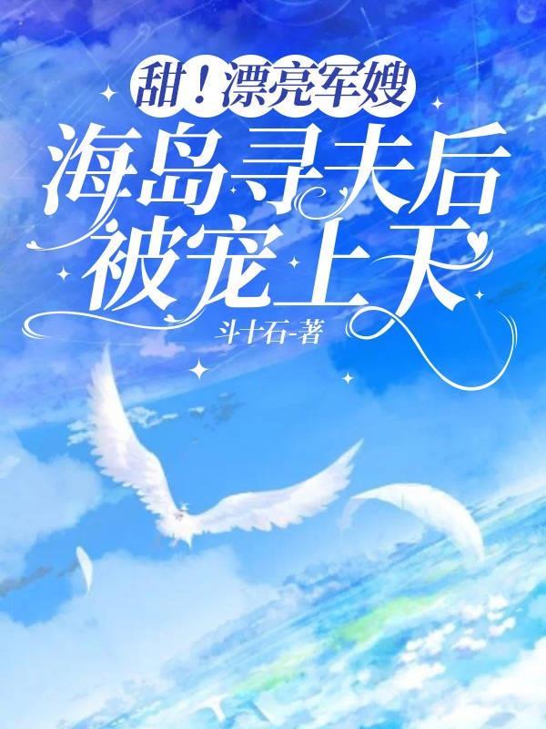 甜漂亮军嫂海岛寻夫后被宠上天全文