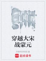 穿越--大宋之战神高宠