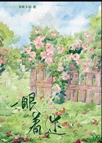一眼着迷剧情介绍