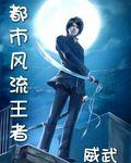 都市风流书籍
