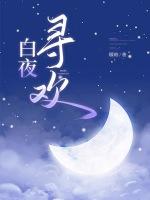 白夜追凶之白夜追巡