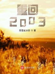 重回2003从公务员开始
