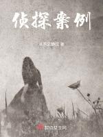 侦探案例by是写的嘛