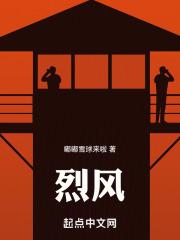 烈风战斗机