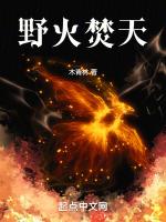 野火焚天劫