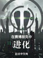 赛博朋克结局进入赛博空间