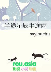 半途蔡健雅歌词