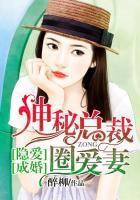 神秘总裁隐婚妻