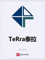 泰拉教程