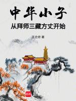 中华小子从拜师三藏方丈开始全文阅