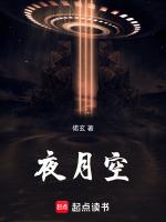 夜月空独醉