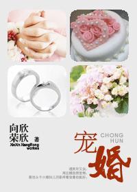 宠婚蜜恋在八零作者南方荔枝