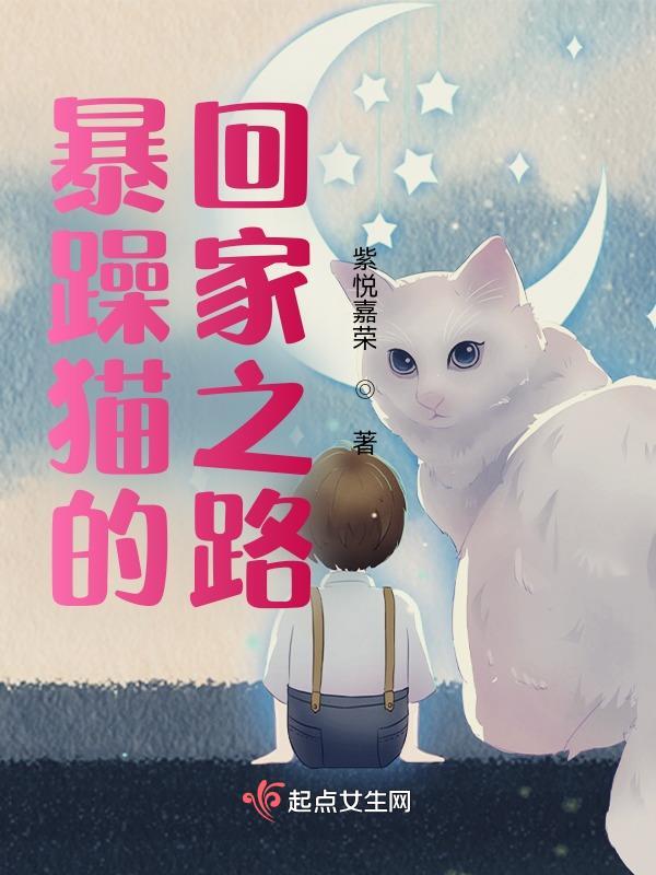 暴躁猫猫沈默